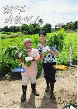 我就是那个选手 综艺海报